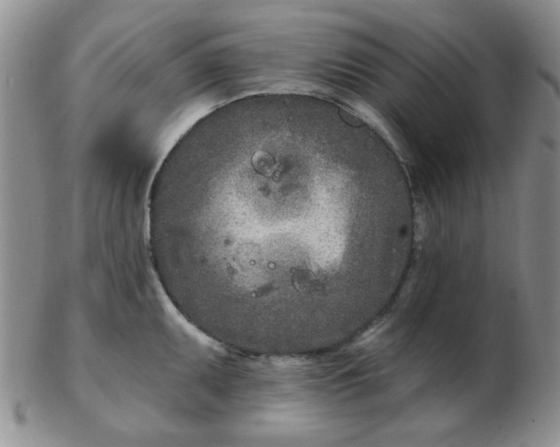 X0000103281095200809121940