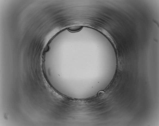 X0000103281096200809121940