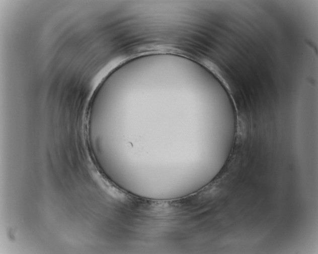 X0000103281098200809121940