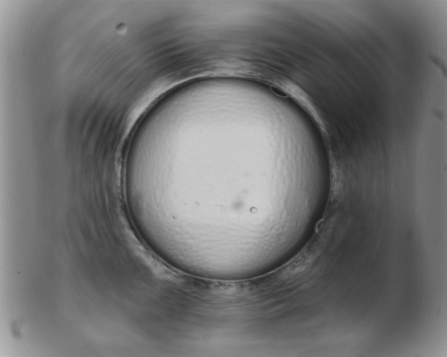 X0000103281099200809121940