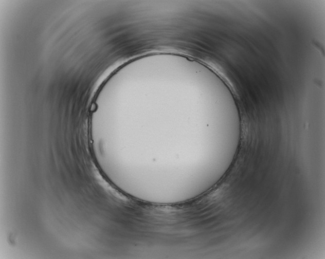 X0000103281100200809121940