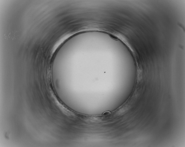 X0000103281101200809121940