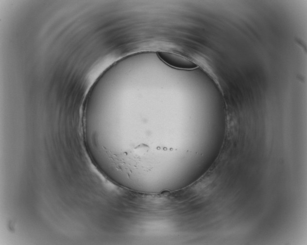 X0000103281103200809121940