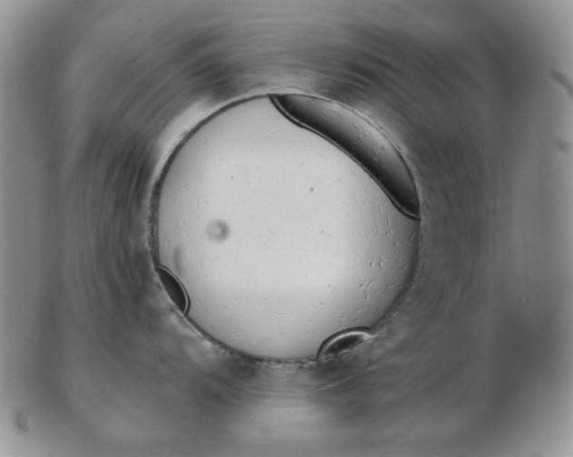 X0000103281104200809121940