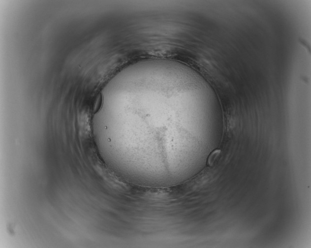 X0000103281106200809121939