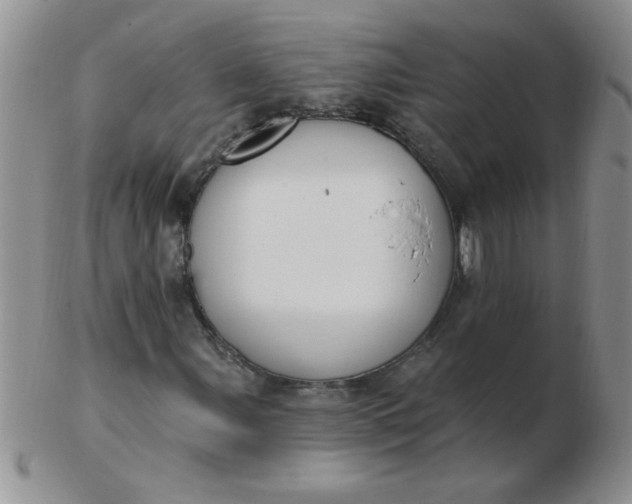 X0000103281107200809121939