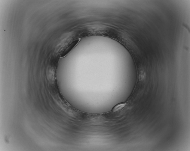 X0000103281108200809121939