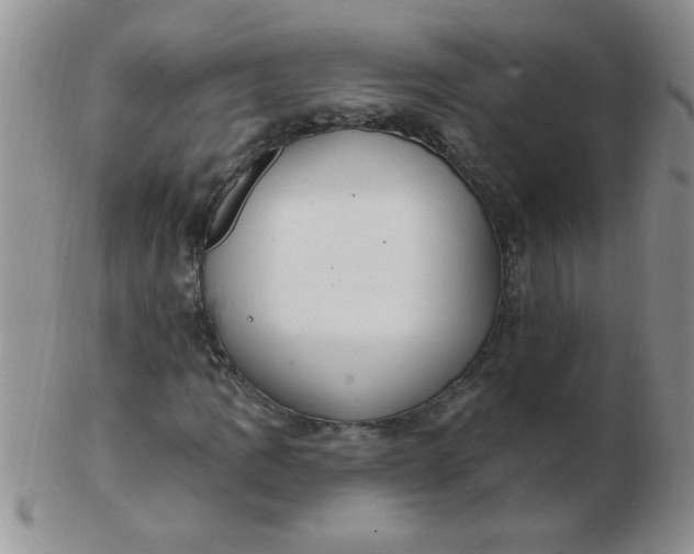 X0000103281109200809121939