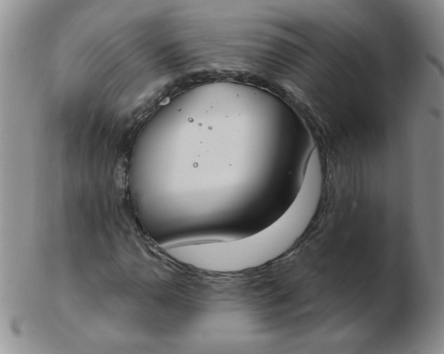 X0000103281110200809121939