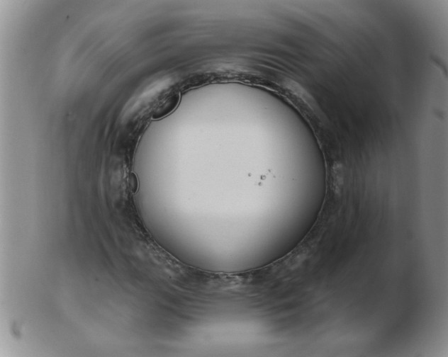 X0000103281111200809121939