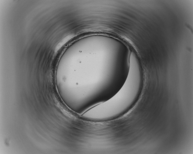 X0000103281114200809121939