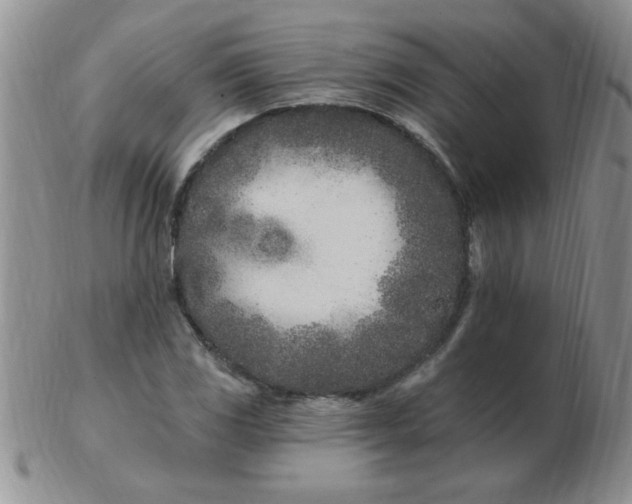 X0000103281117200809121939