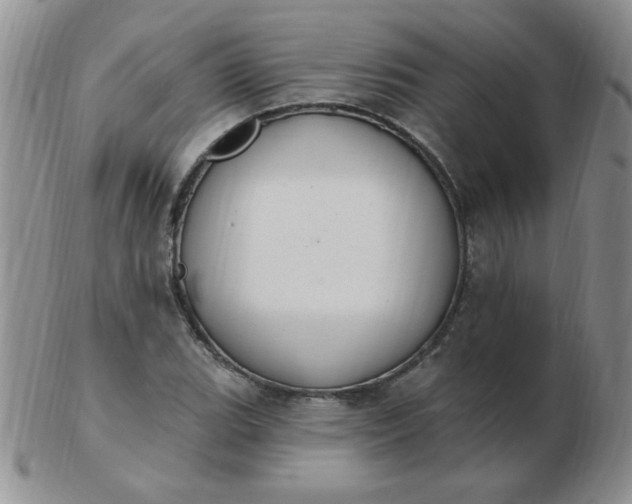 X0000103281119200809121939