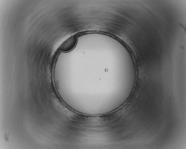 X0000103281120200809121939