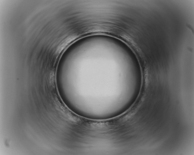 X0000103281121200809121939