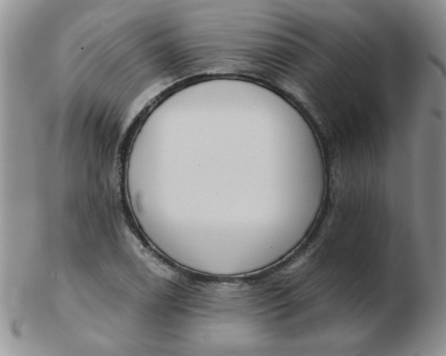 X0000103281122200809121939