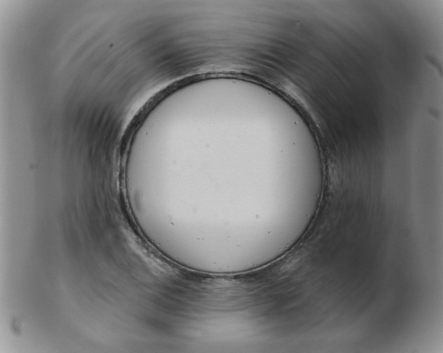 X0000103281124200809121939