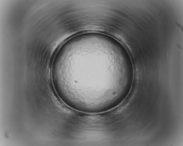 X0000103281125200809121939