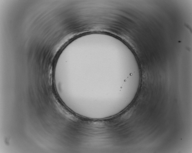 X0000103281126200809121939