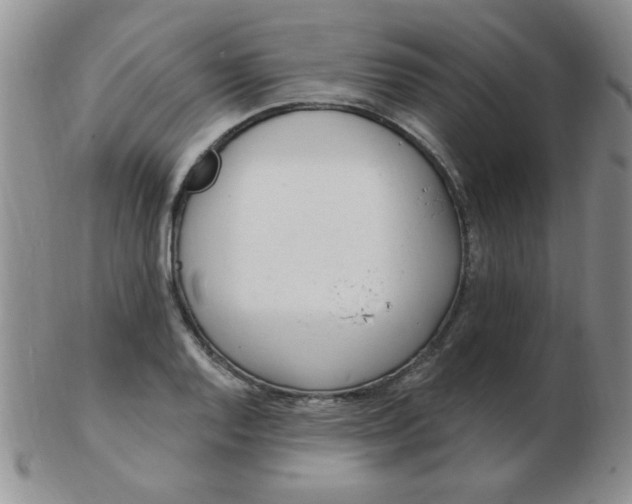 X0000103281128200809121939