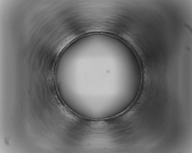 X0000103281129200809121939