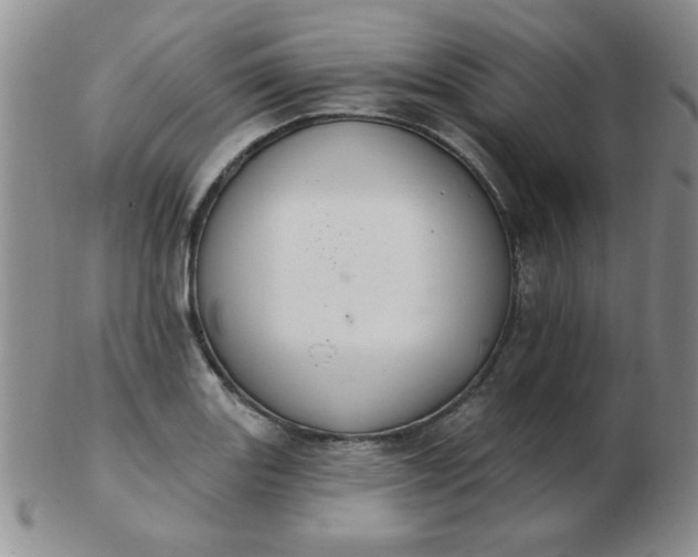 X0000103281131200809121939