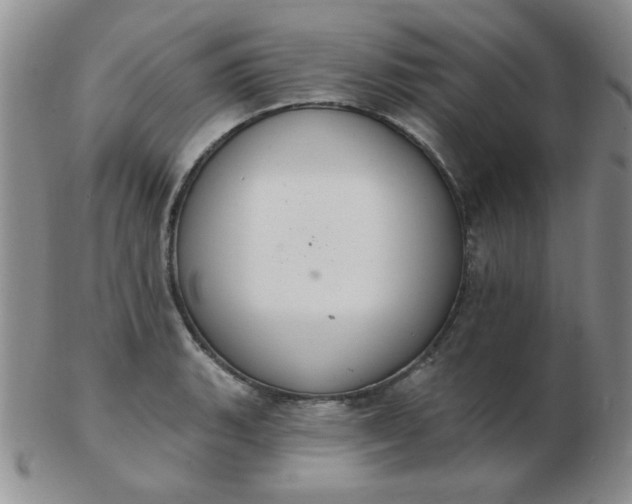 X0000103281135200809121939