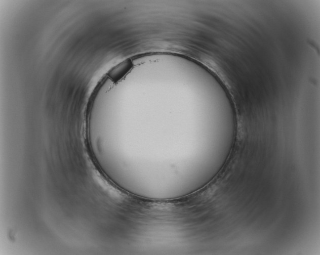 X0000103281136200809121939