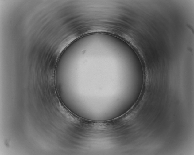 X0000103281137200809121939