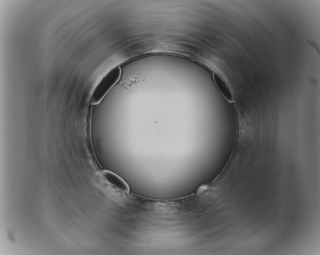 X0000103281138200809121939