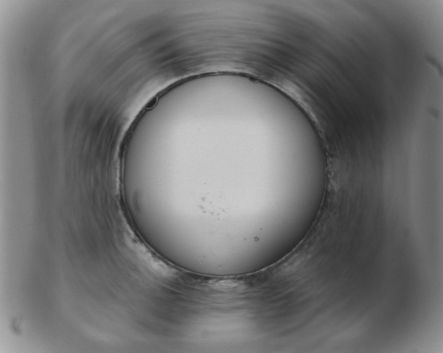 X0000103281140200809121939