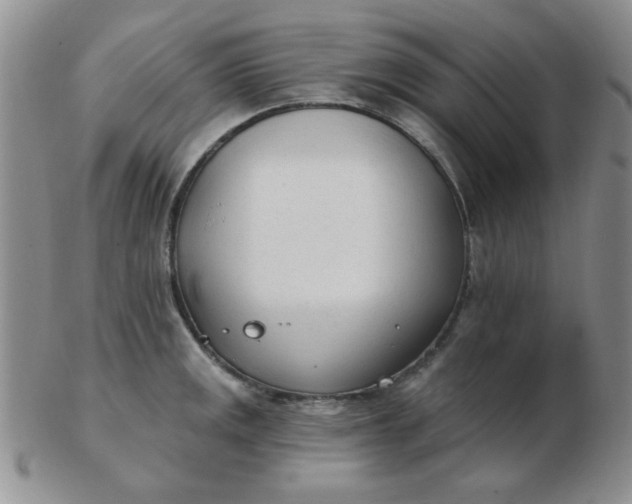 X0000103281141200809121939