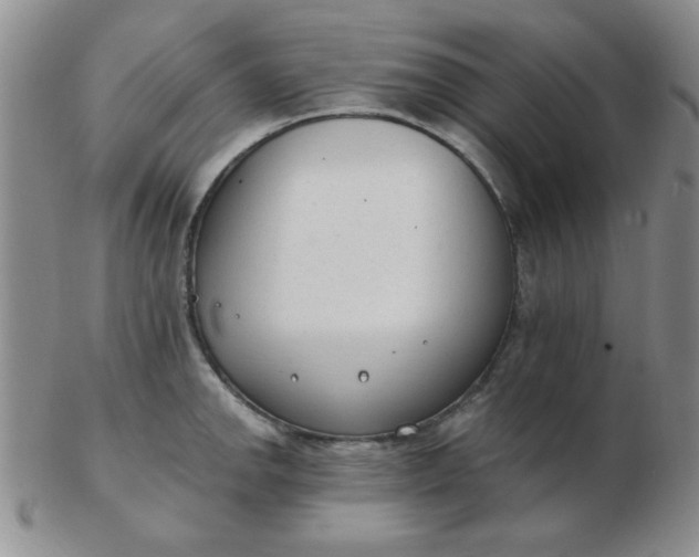 X0000103281142200809121939