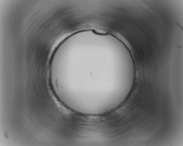 X0000103281144200809121939