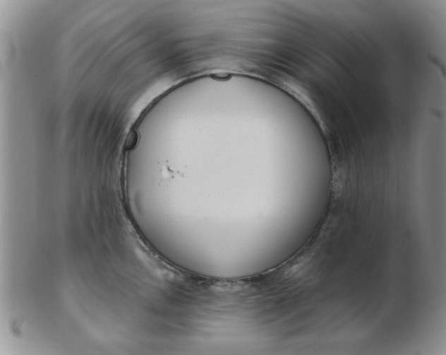 X0000103281146200809121940