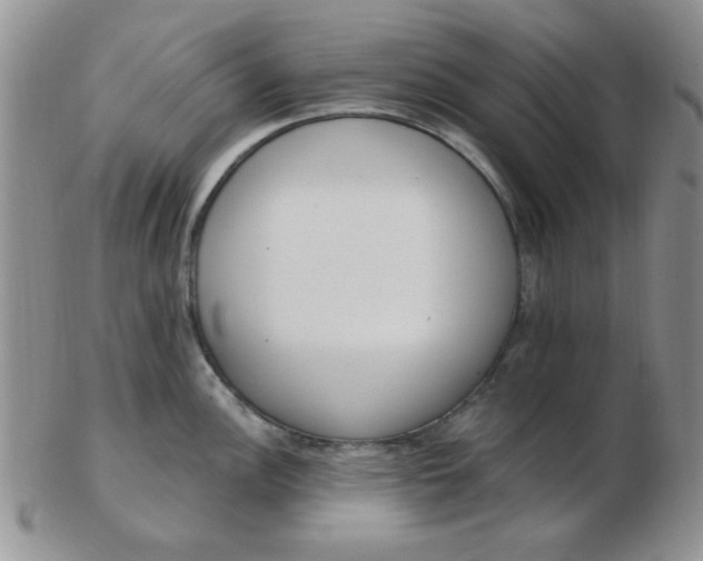 X0000103281148200809121940