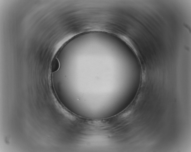 X0000103281149200809121940