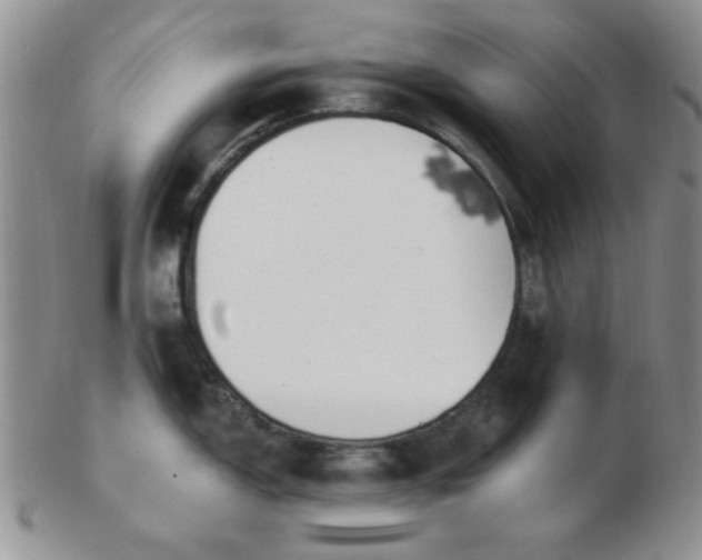 X0000103281150200809121940