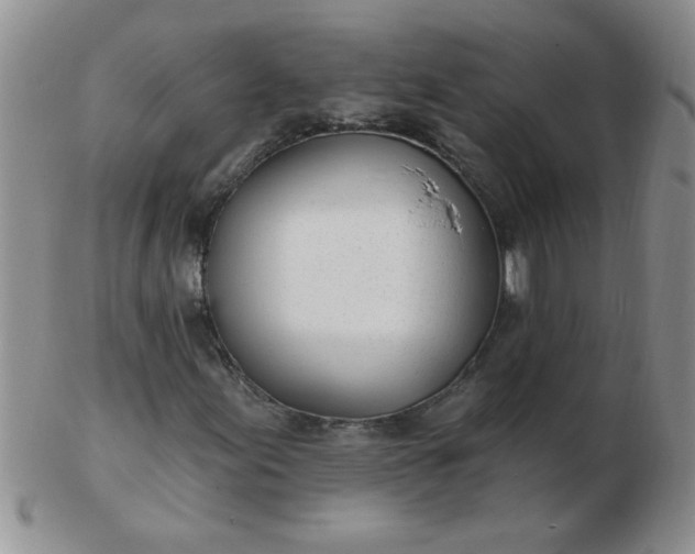 X0000103281155200809121939