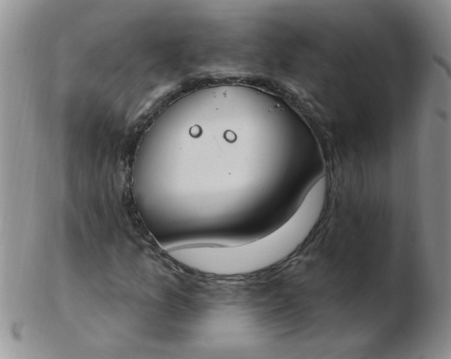 X0000103281157200809121939