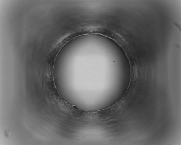 X0000103281158200809121939