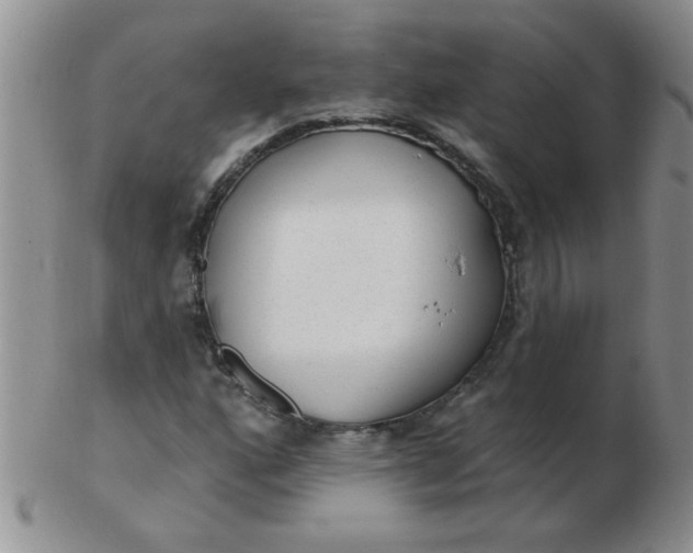 X0000103281160200809121939