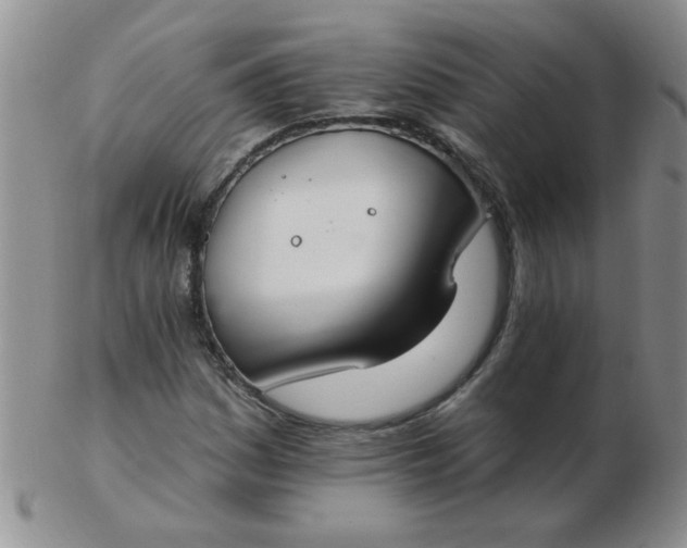 X0000103281161200809121939