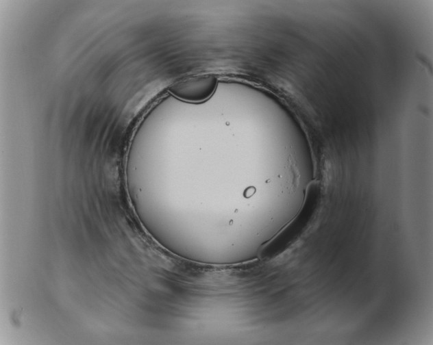 X0000103281162200809121939