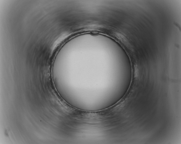 X0000103281164200809121939