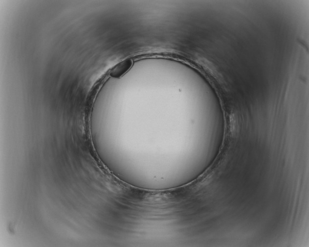 X0000103281165200809121939