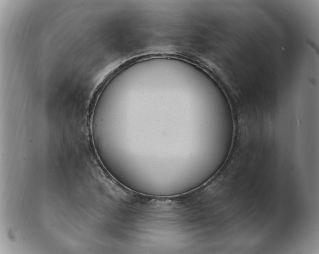 X0000103281168200809121939