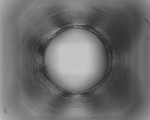 X0000103281169200809121939