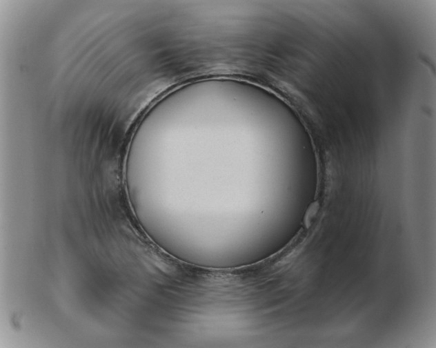 X0000103281170200809121939