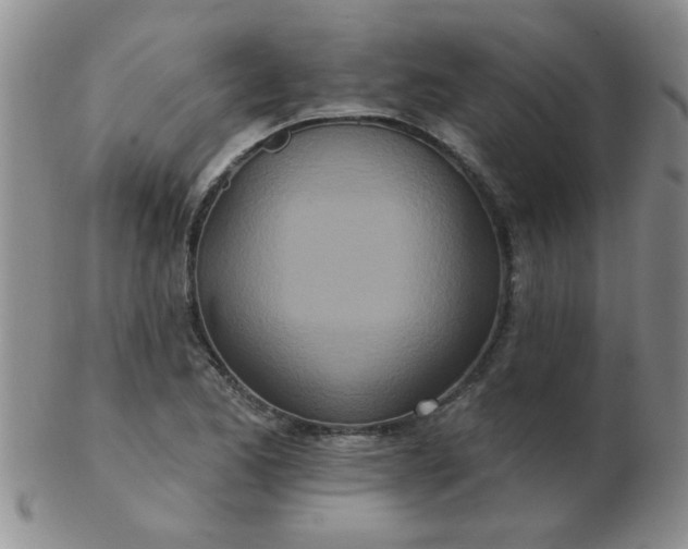 X0000103281173200809121938